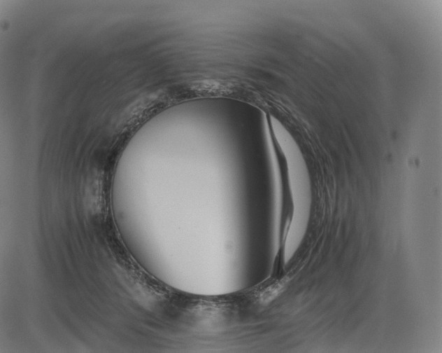 X0000083010416200702161556