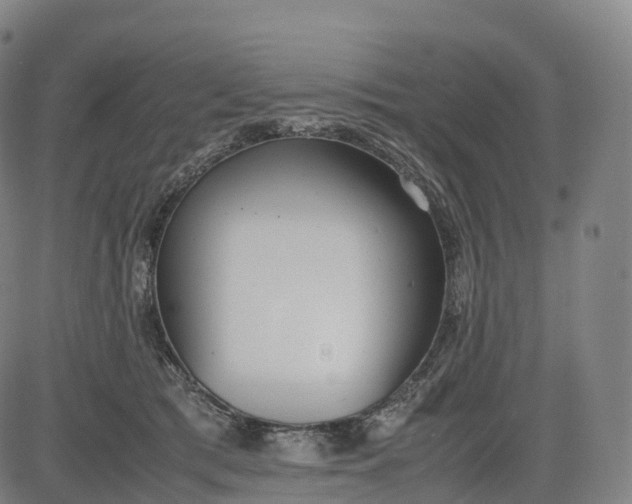 X0000083010417200702161556