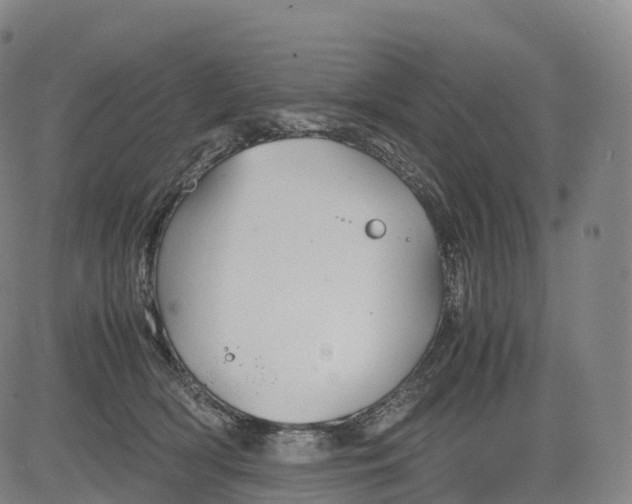 X0000083010418200702161556