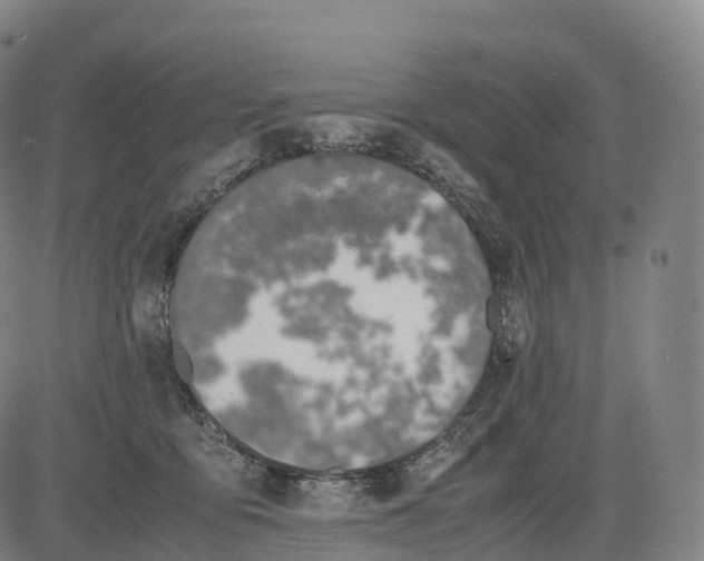 X0000083010419200702161556