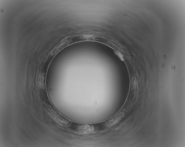 X0000083010421200702161556