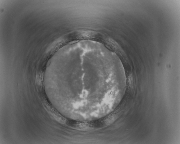 X0000083010423200702161556