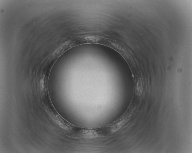 X0000083010424200702161556