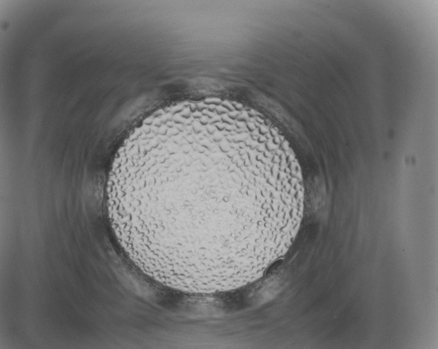 X0000083010427200702161556
