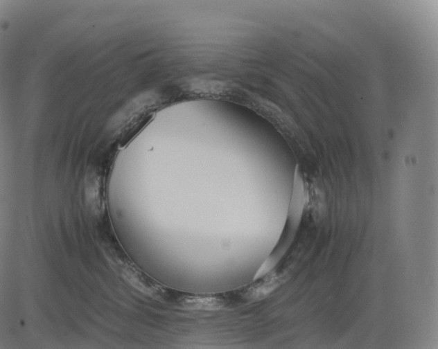 X0000083010428200702161556