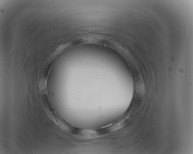 X0000083010429200702161556