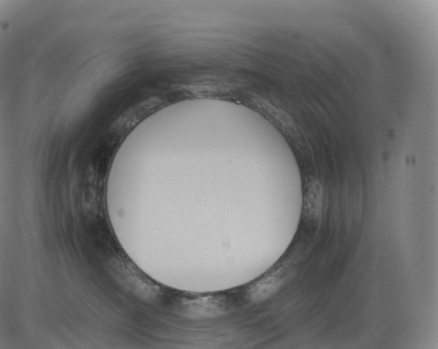 X0000083010430200702161556