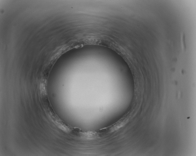 X0000083010432200702161556