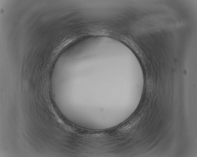 X0000083010433200702161555