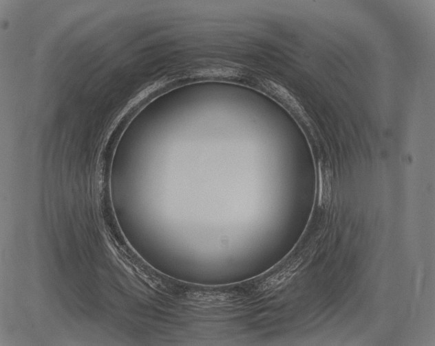 X0000083010435200702161555