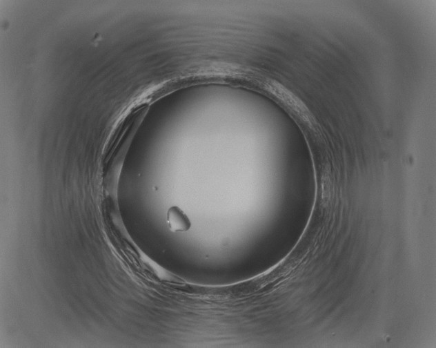 X0000083010436200702161555