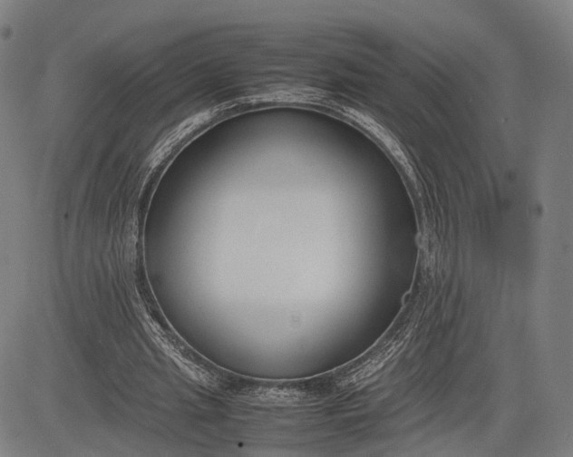 X0000083010437200702161555