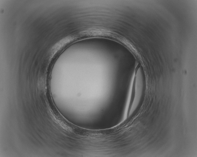 X0000083010438200702161555