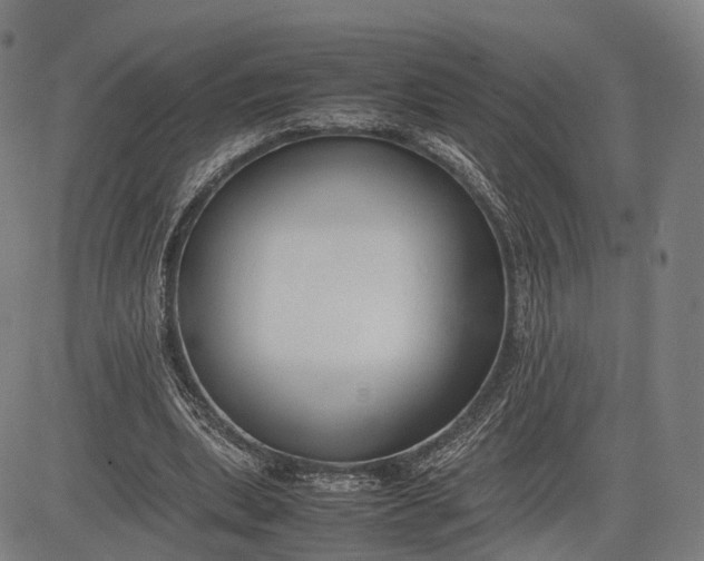 X0000083010439200702161555