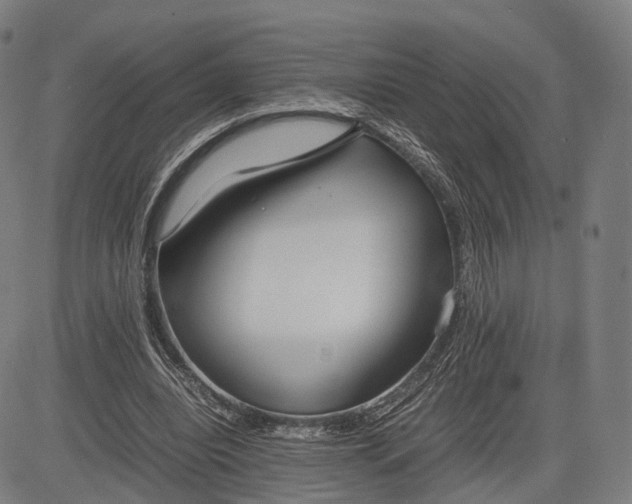 X0000083010440200702161555