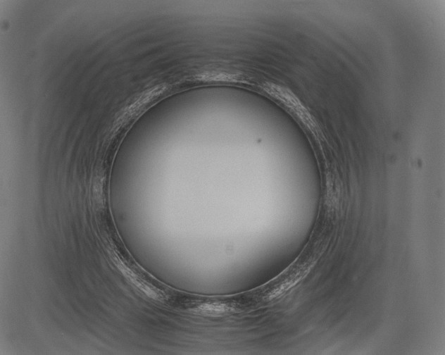 X0000083010441200702161555