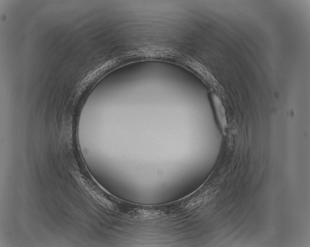 X0000083010442200702161555