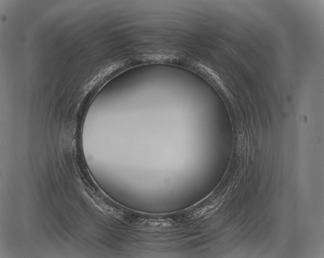 X0000083010443200702161555