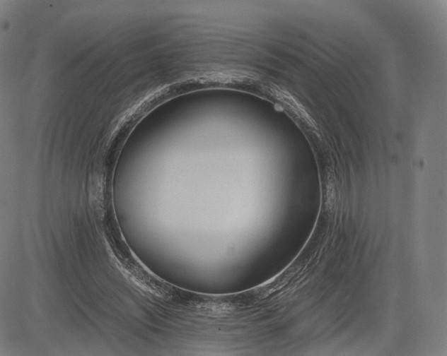 X0000083010444200702161555