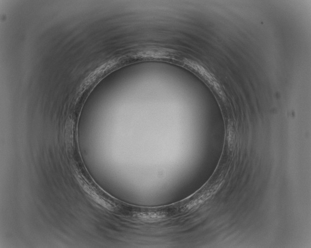 X0000083010445200702161555