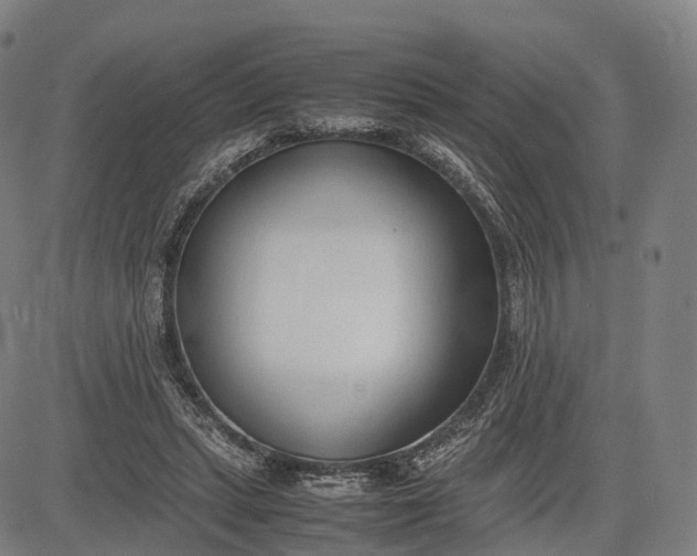 X0000083010447200702161555