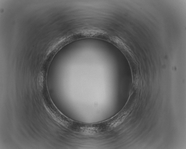 X0000083010448200702161555