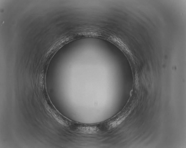 X0000083010449200702161555