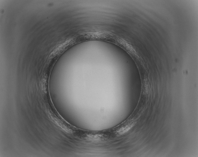 X0000083010450200702161555