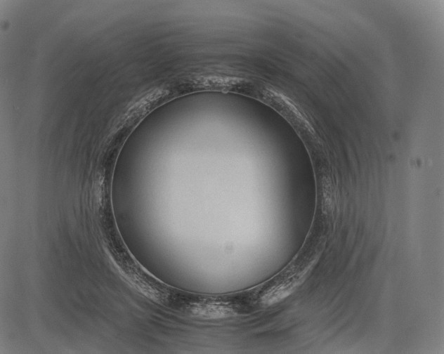 X0000083010451200702161555