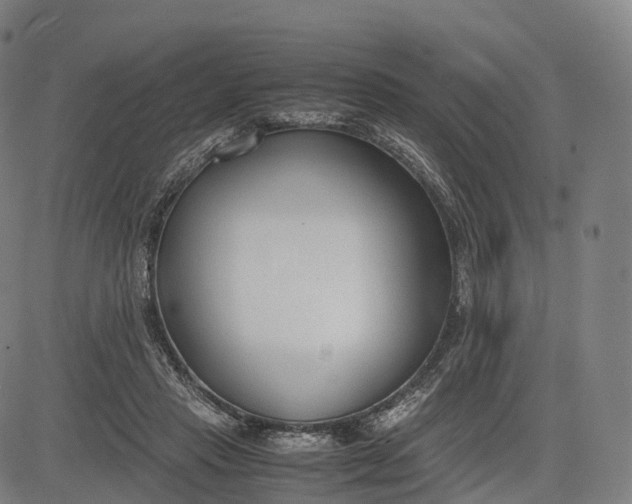 X0000083010453200702161555