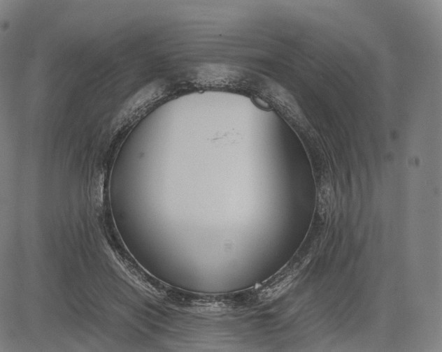 X0000083010454200702161555