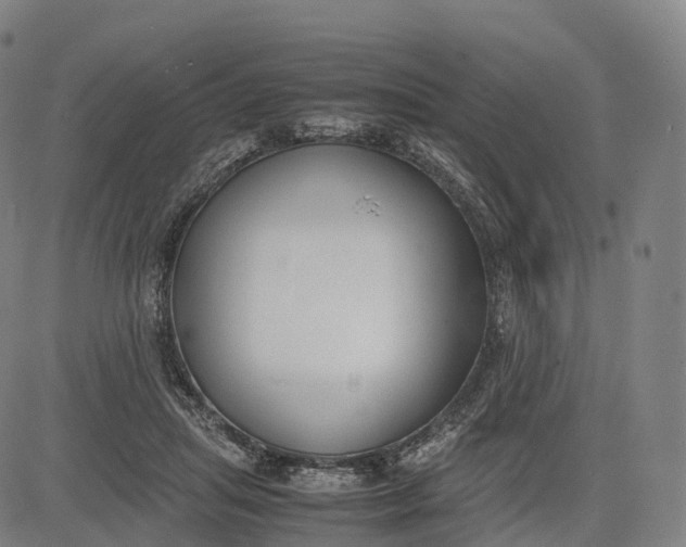 X0000083010455200702161555