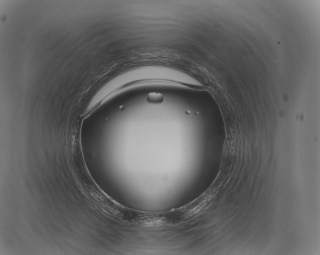 X0000083010456200702161555