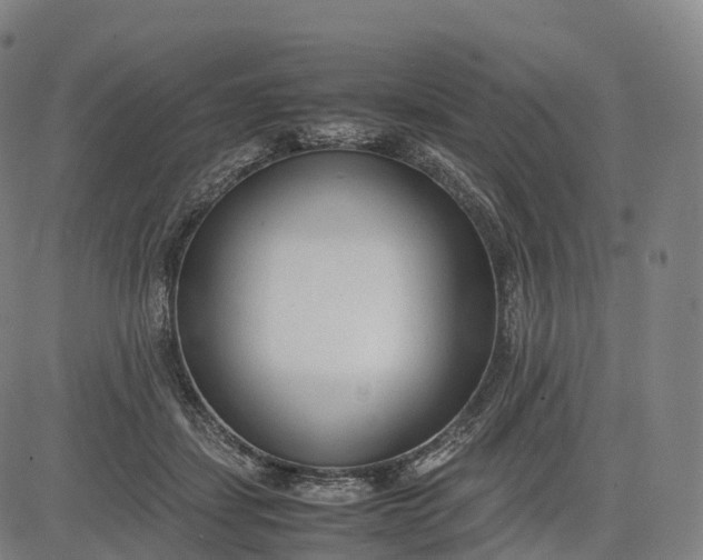 X0000083010459200702161555