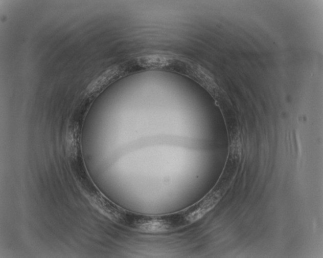 X0000083010460200702161555