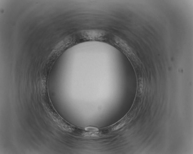 X0000083010461200702161555