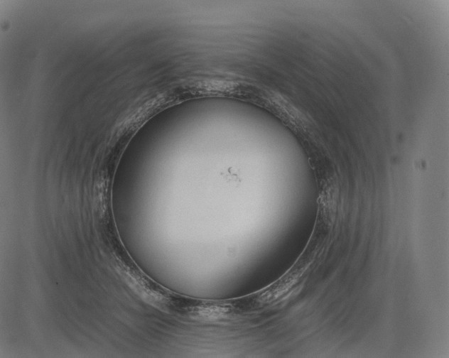 X0000083010462200702161555