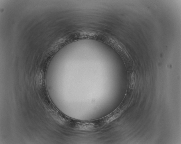 X0000083010463200702161555