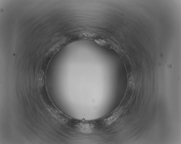 X0000083010464200702161555