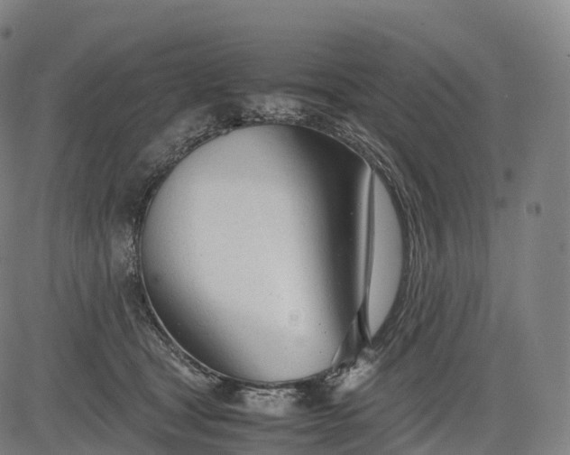 X0000083010465200702161555