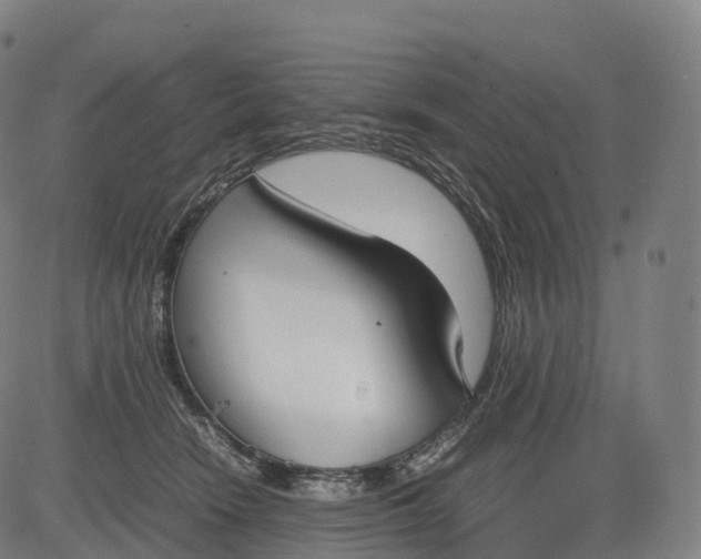 X0000083010466200702161555