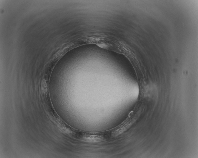 X0000083010467200702161555