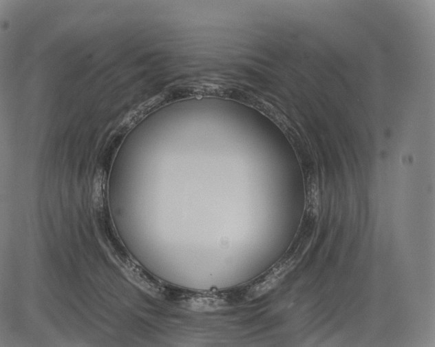 X0000083010468200702161555