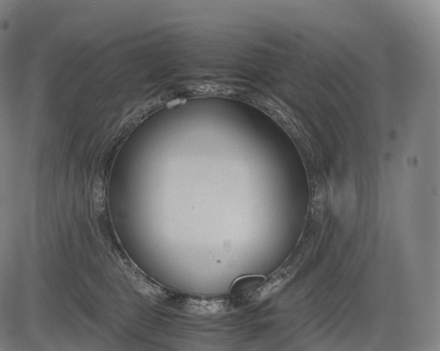 X0000083010469200702161556