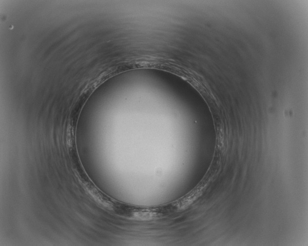 X0000083010470200702161556