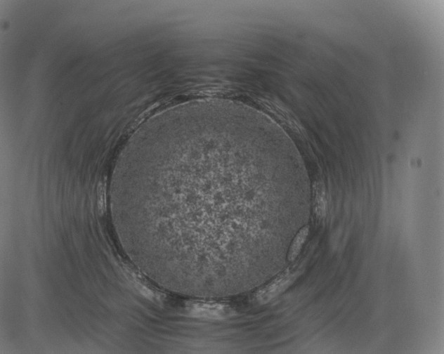 X0000083010471200702161556