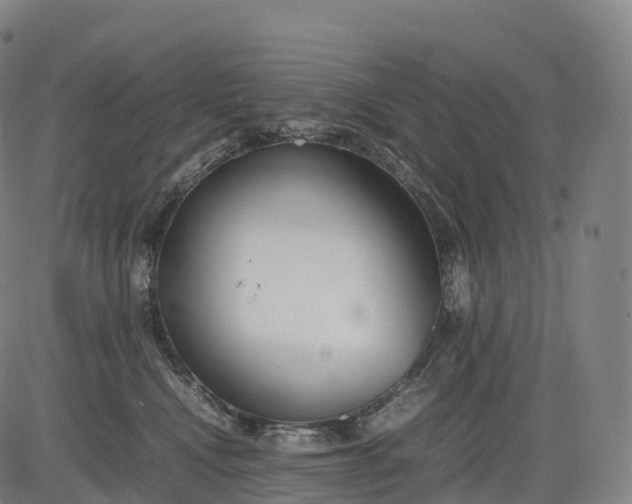 X0000083010472200702161556