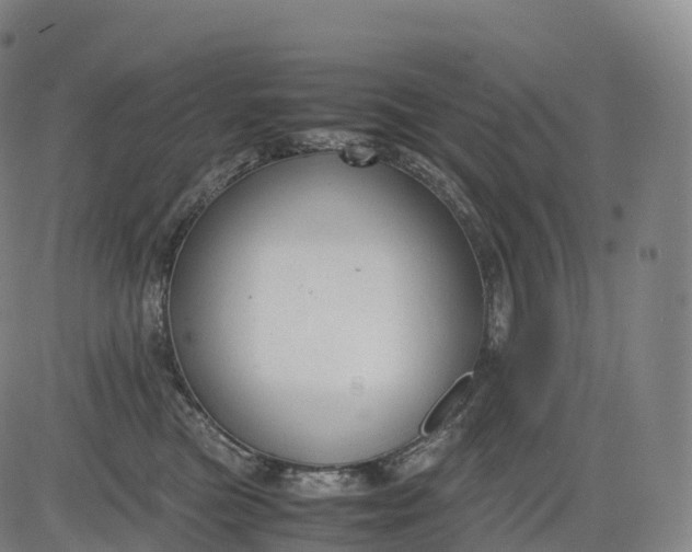 X0000083010473200702161556