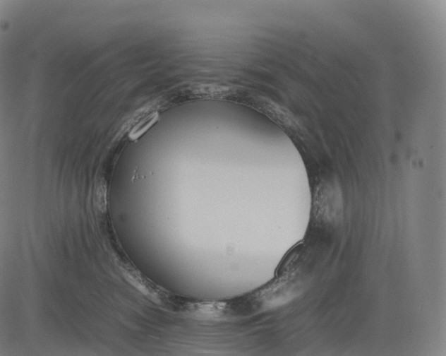 X0000083010474200702161556