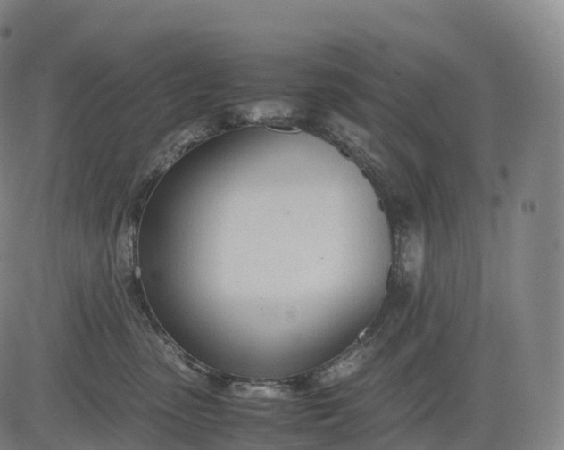 X0000083010475200702161556